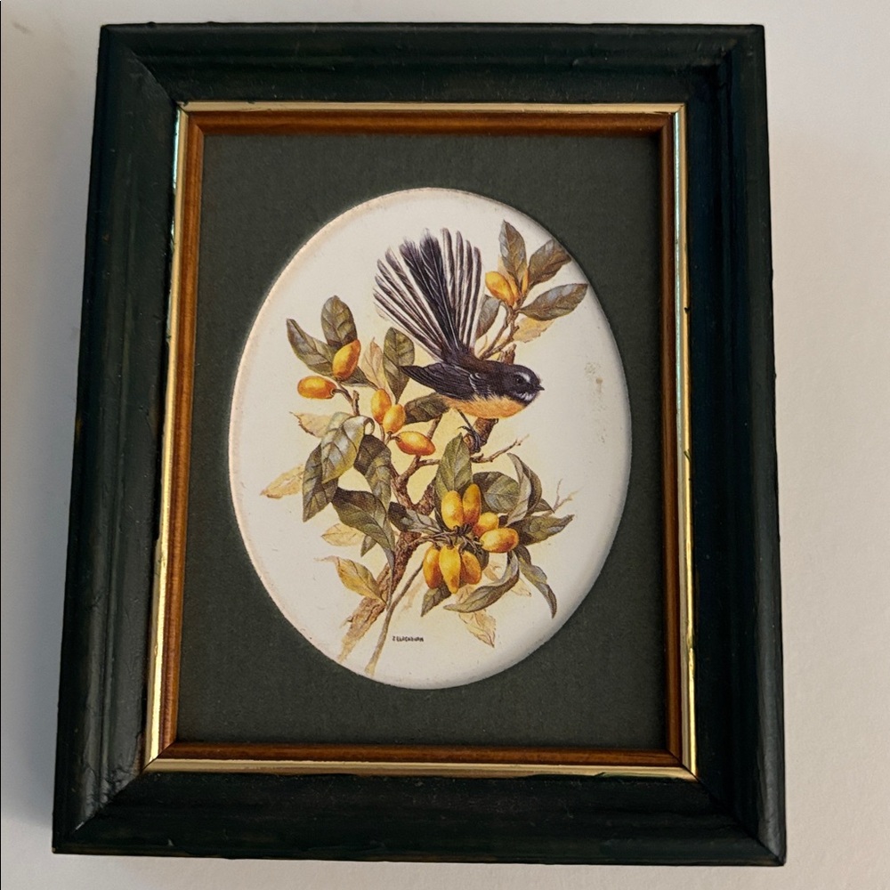 Set of Two Framed Native Birds of New Zealand - Picture 4 of 7